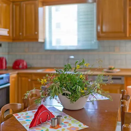Apartament Stelfi In