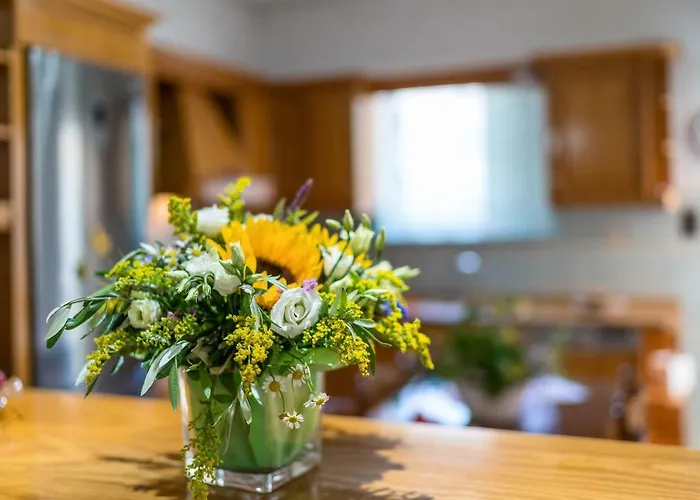 Apartament Stelfi In